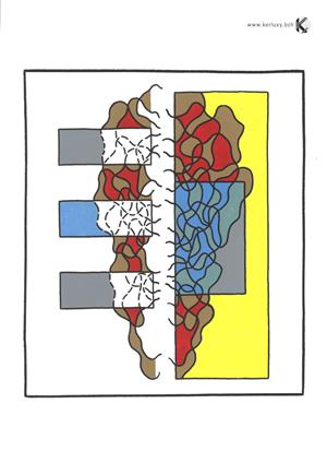  Abstrait  - dessin - calligraphie - Visage racines - Twoodje)