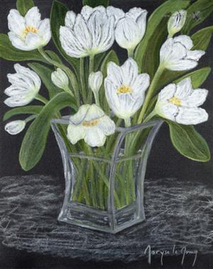 pastels - drawing - calligraphy - Bunch of white tulips - Le Moing Maryse)