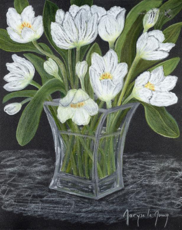 drawing - calligraphy - Bunch of white tulips - Le Moing Maryse