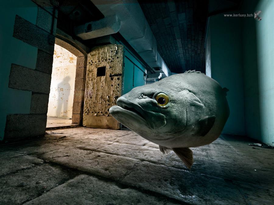 Photographie - Pontaniou 03 - Le Gall Mathieu 